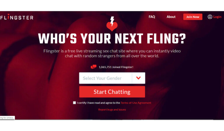 Flingster-Rezension: Ist es eine gute Wahl für Online-Dating im Jahr 2023?